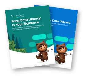 Guides sur la data literacy